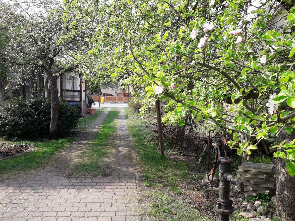 Ferienhaus Gartentraum Rheinsberg Exteriér fotografie